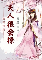 国师夫人又跑了免费