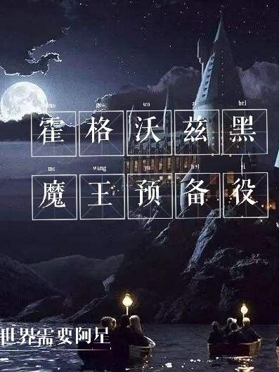 霍格沃兹黑魔王预备役