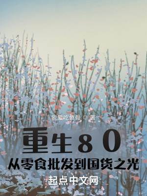 重生80从收破烂开始全本免费