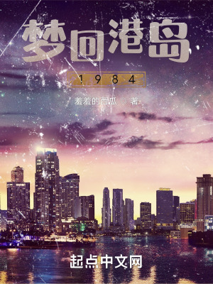 梦回港岛1984小说