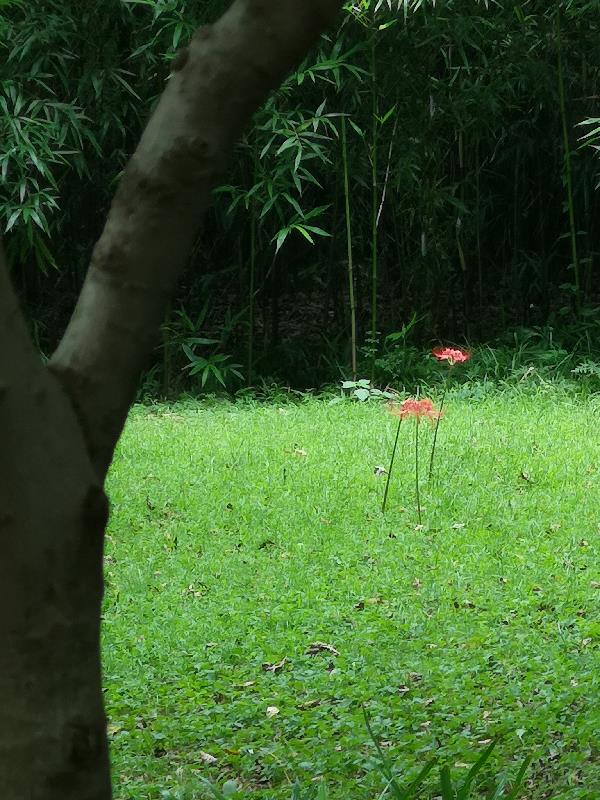 穿书七零，你们不要过来啊