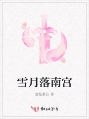 女主叫南宫月落的穿越小说